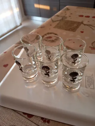 6 Bicchieri da liquore decorati