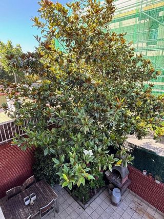 Casa adosada en venta en Santa María de Getxo en Getxo