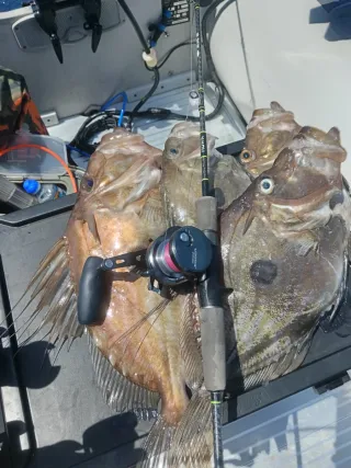 Caña HÖWK Hot Spot 100