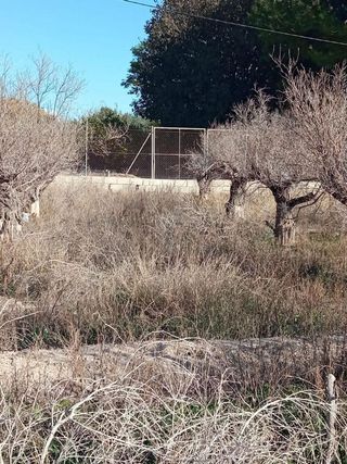 Terreno en venta en Centro en Mutxamel/Muchamiel