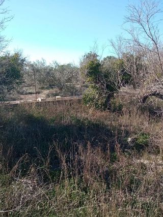 Terreno en venta en Centro en Mutxamel/Muchamiel