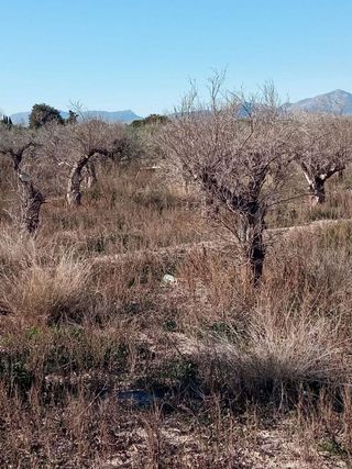 Terreno en venta en Centro en Mutxamel/Muchamiel