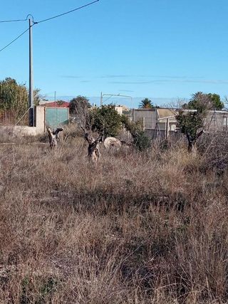 Terreno en venta en Centro en Mutxamel/Muchamiel