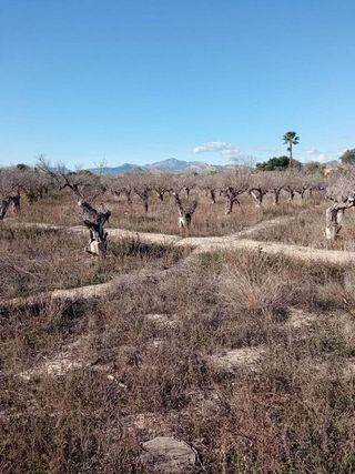 Terreno en venta en Centro en Mutxamel/Muchamiel