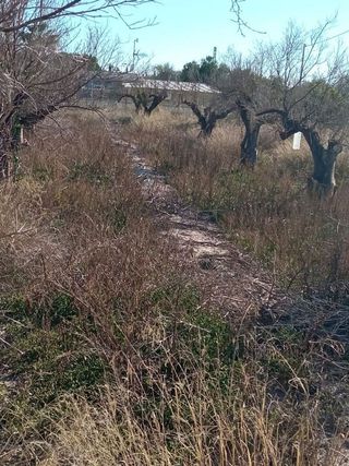 Terreno en venta en Centro en Mutxamel/Muchamiel