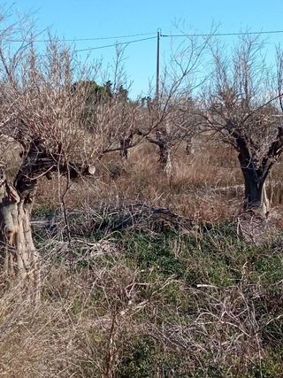 Terreno en venta en Centro en Mutxamel/Muchamiel