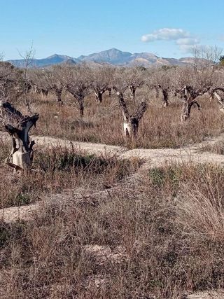 Terreno en venta en Centro en Mutxamel/Muchamiel