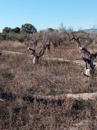 Terreno en venta en Centro en Mutxamel/Muchamiel