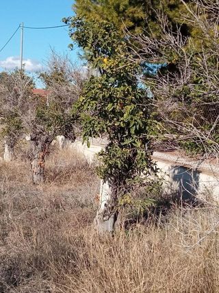 Terreno en venta en Centro en Mutxamel/Muchamiel