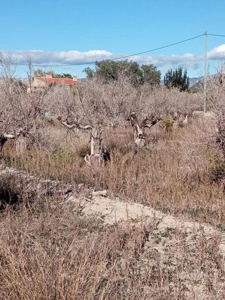 Terreno en venta en Centro en Mutxamel/Muchamiel