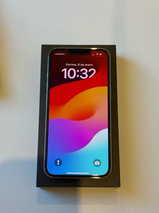 iPhone 13 Pro Argento/Bianco