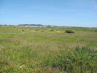 Terreno en venta en Lepe ciudad en Lepe