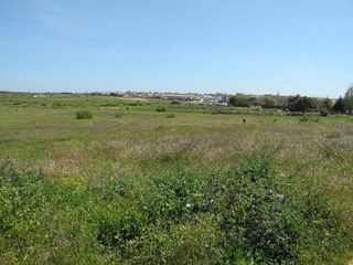 Terreno en venta en Lepe ciudad en Lepe