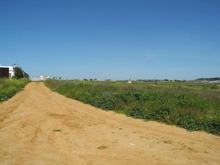 Terreno en venta en Lepe ciudad en Lepe