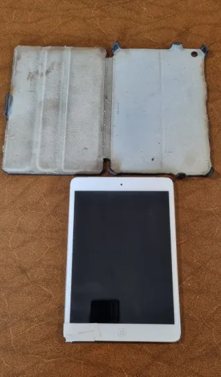 iPad mini 16GB Wi-Fi + Cellular