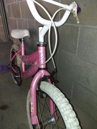 Bicicleta Niña Princess Rosa