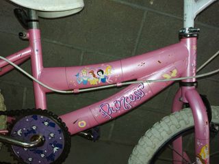 Bicicleta Niña Princess Rosa