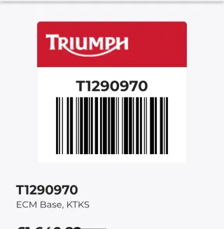 ECM Motor Triumph Tiger 1200,Speed triple  1200...