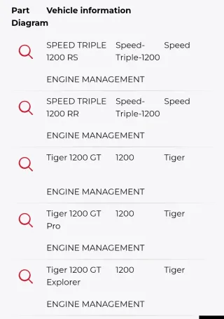 ECM Motor Triumph Tiger 1200,Speed triple  1200...
