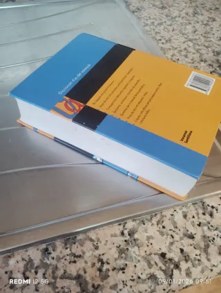 Diccionari d'ús del valencià (Catalan Edition)