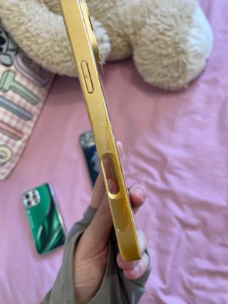 Fundas iPhone 16 Pro (Apple)