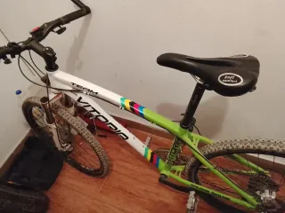 Bicicleta Montaña VITORIA Edición Limitada