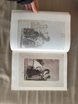 Goya Los Caprichos Dibujos y aguafuertes