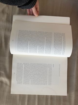 Goya Los Caprichos Dibujos y aguafuertes