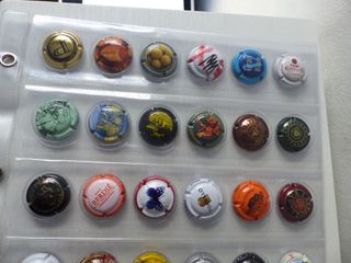 HOJA Y CHAPAS DE CAVA ( 36 ) COLECCION 1