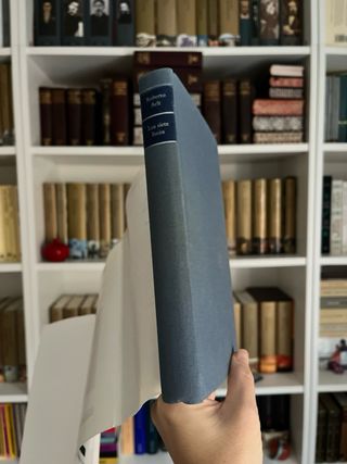 Los siete locos. Roberto Arlt