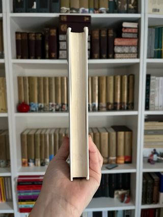 Los siete locos. Roberto Arlt