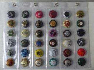 HOJA Y CHAPAS DE CAVA (36) - COLECCION 2