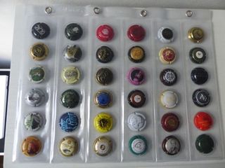 HOJA Y CHAPAS DE CAVA (36) - COLECCION 2