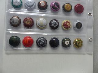 HOJA Y CHAPAS DE CAVA (36) - COLECCION 2