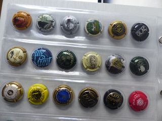 HOJA Y CHAPAS DE CAVA (36) - COLECCION 2