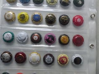 HOJA Y CHAPAS DE CAVA (36) - COLECCION 2