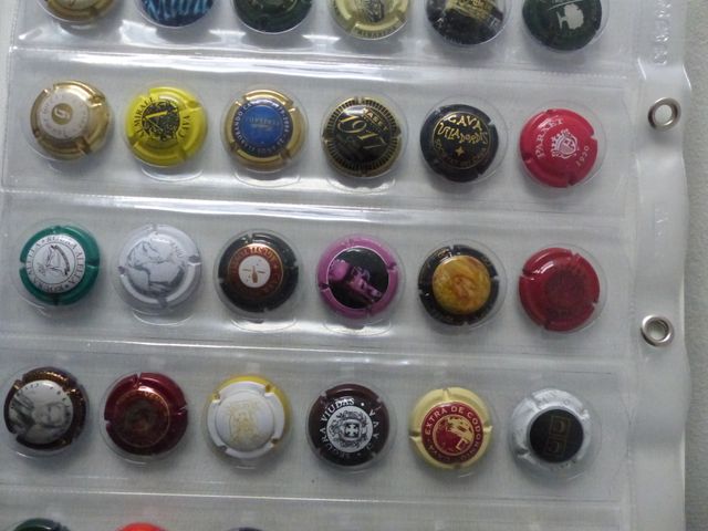 HOJA Y CHAPAS DE CAVA (36) - COLECCION 2