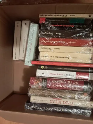 17 libros de literatura y ensayo