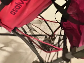 Silla de paseo rosa Asalvo