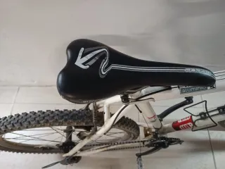 Bicicleta de montaña