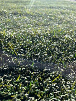 Césped artificial reciclado