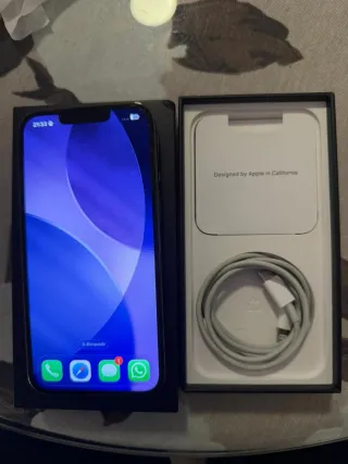 iPhone 13 Pro Argento 256gb