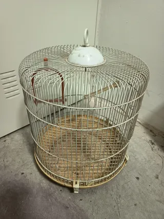 Jaula para periquitos