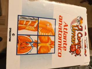 Esplorando il corpo umano