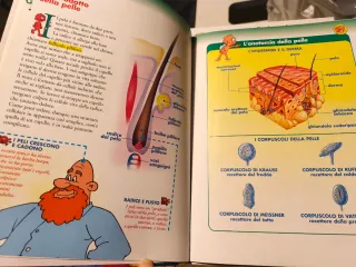 Esplorando il corpo umano