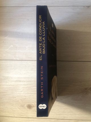 El arte de conducir bajo la lluvia