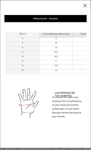 Manoplas Esquí Rossignol Negras y Rojas