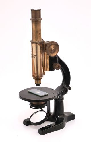 Microscopio Antiguo austriaco Reichert (c1920)