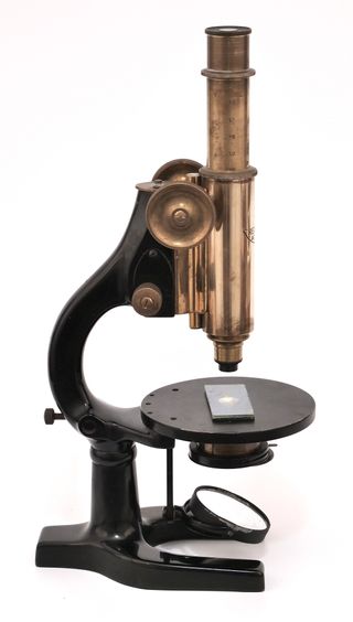 Microscopio Antiguo austriaco Reichert (c1920)