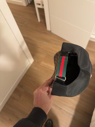 Serpiente Marrón Roja